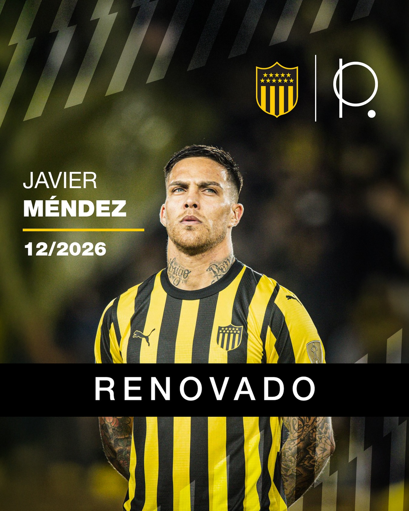 Imagen de Javier Méndez - Renovación